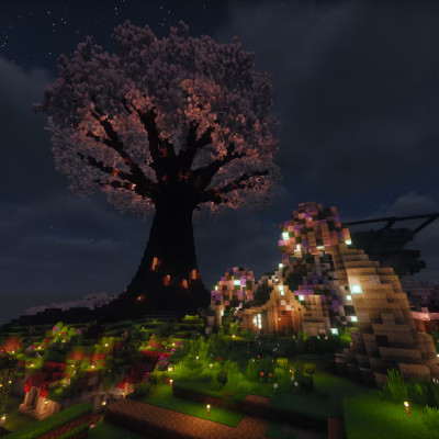 Build showcase 11